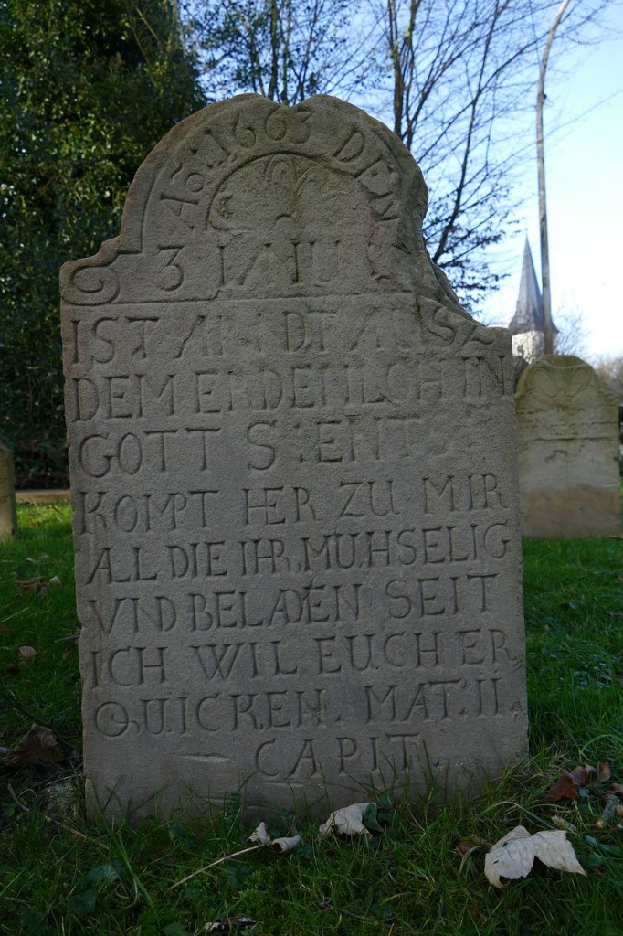 Stein13.jpg